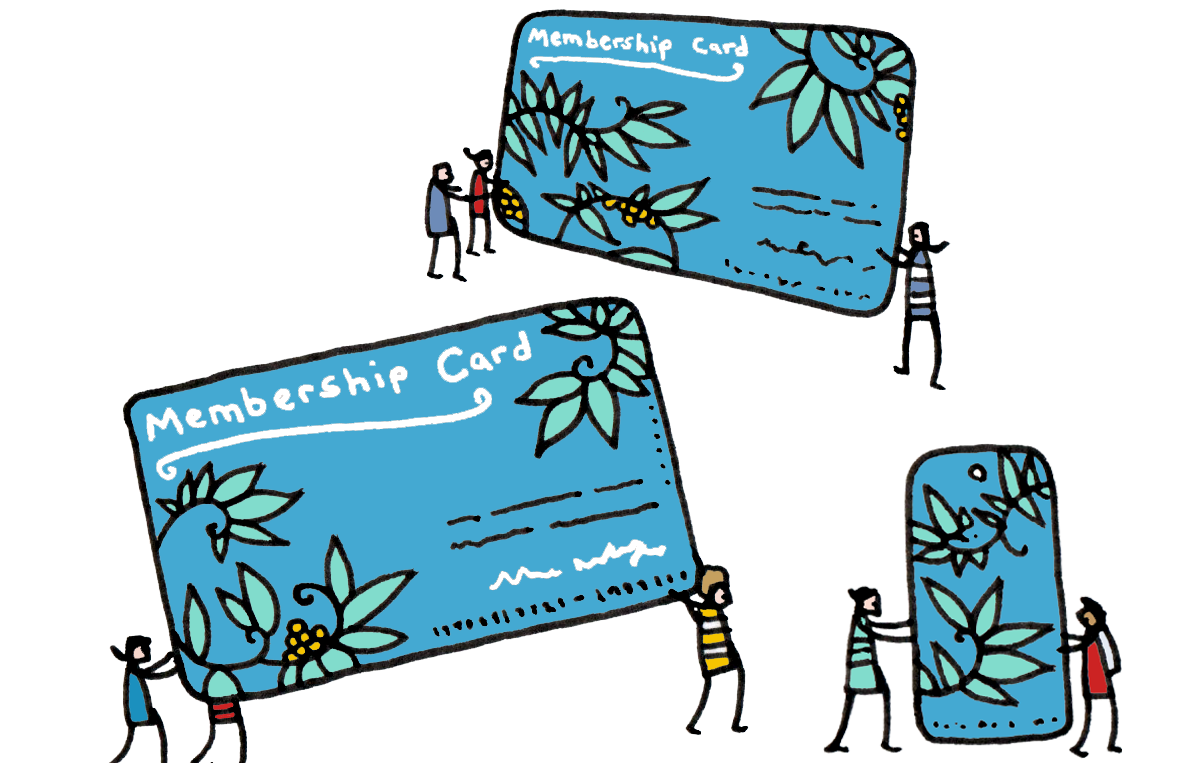 Three membership cards